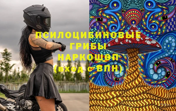 spice Алексин